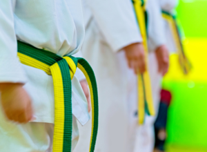A Evolução das cores das faixas no Taekwondo