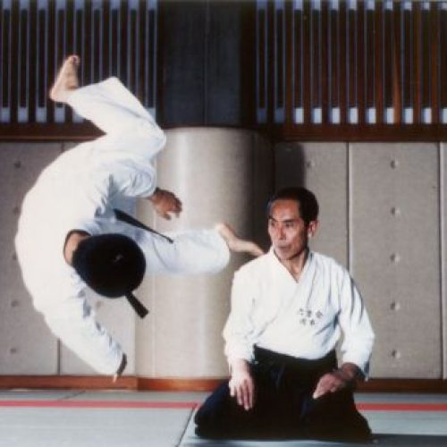 Demonstração de Daito-ryu Aiki-Jujutsu. Performance de Seigo Okamoto.